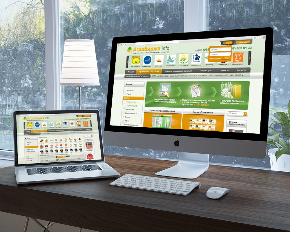 Разработка дизайна сайта для агробиржи